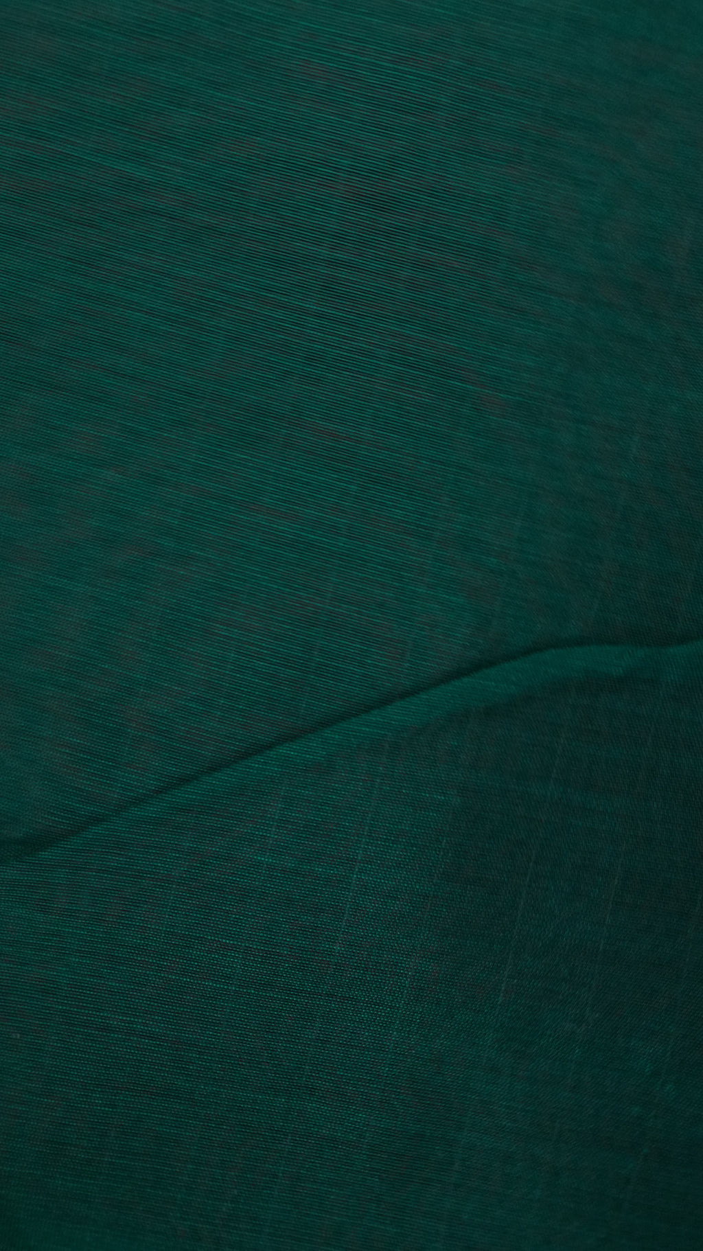 Silk Cotton Saree fabric close-up