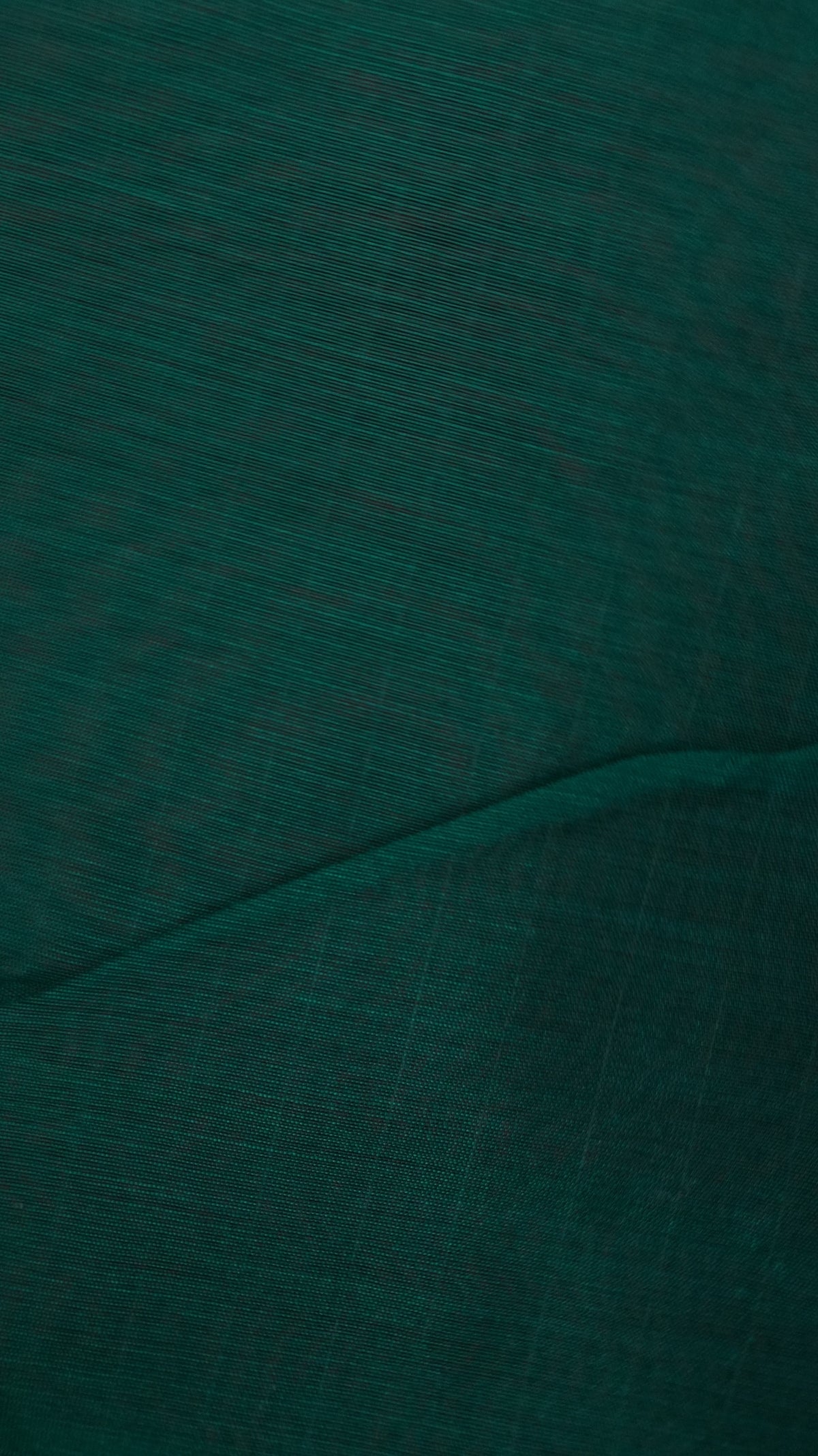 Silk Cotton Saree fabric close-up