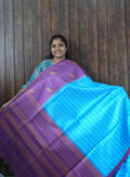 Budget Friendly Saree SLM-BFR-0048 - Sky blue checks with a purple border - front view