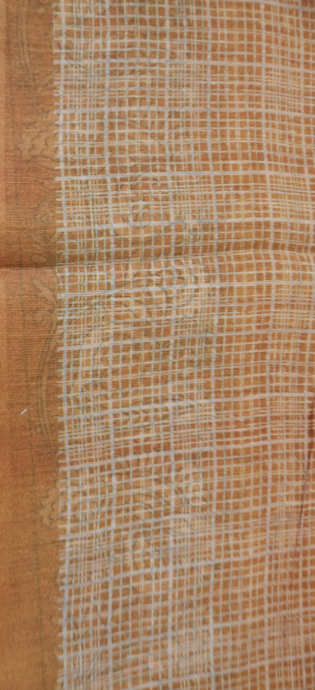 Chanderi Saree SLM-CHN-0040 - Mustard orange checks with a paisley border - detail view