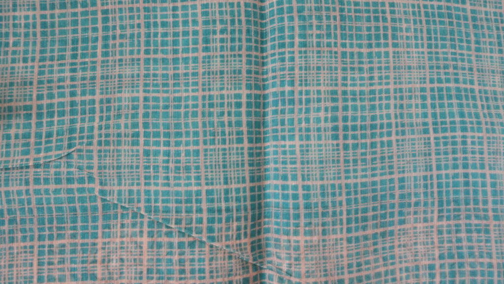 Chanderi Saree SLM-CHN-0041 - Turquoise checks with a paisley border - detail view