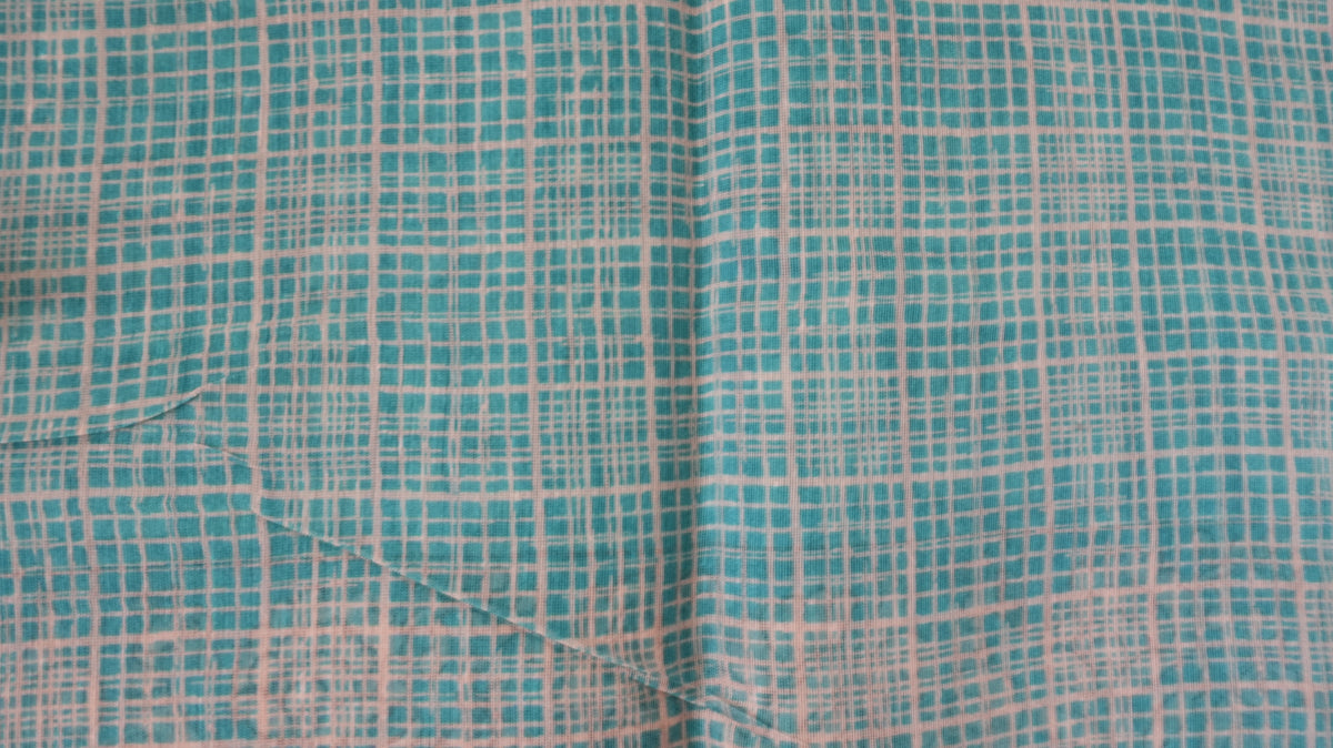 Chanderi Saree SLM-CHN-0041 - Turquoise checks with a paisley border - detail view