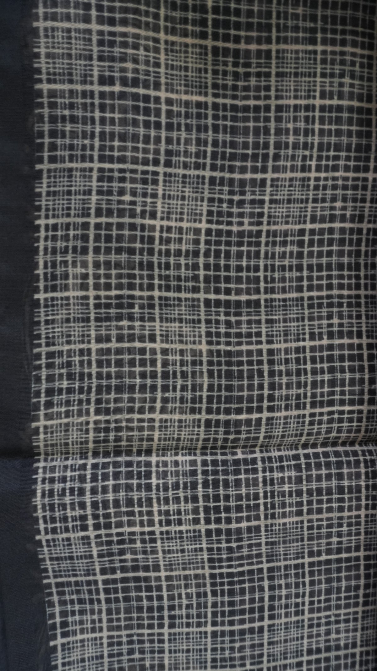 Chanderi Saree SLM-CHN-0042 - Black checks with a paisley border - detail view
