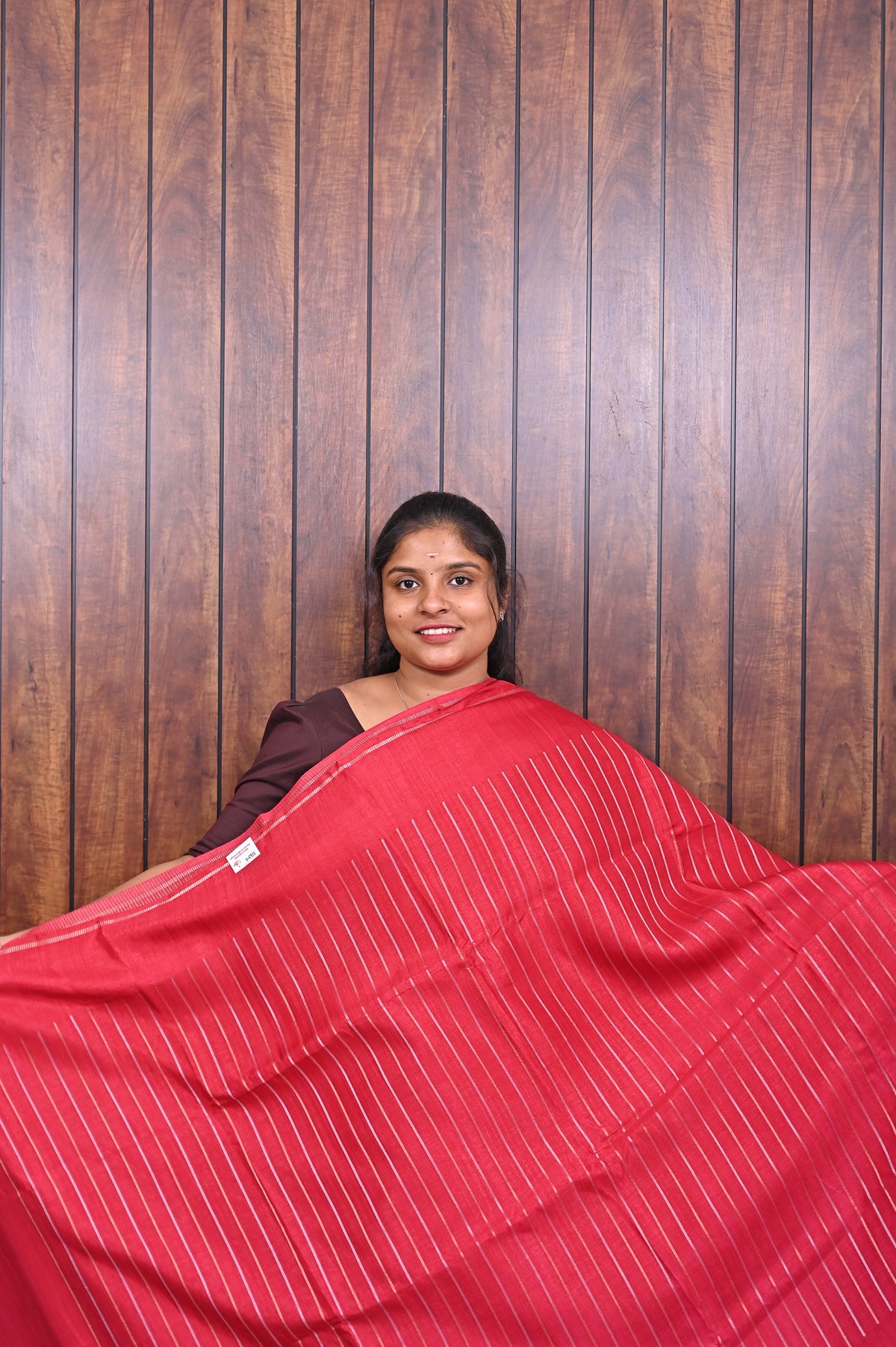 Function Wear Saree SLM-FWR-0037 - Red with a striped pallu - front view